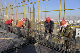 金昌市行政中心工程全速推進(jìn)，一建公司聚力攻堅顯擔(dān)當(dāng)